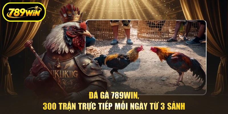 Đá Gà 789WIN, 300 Trận Trực Tiếp Mỗi Ngày Từ 3 Sảnh 1 Đá Gà 789win