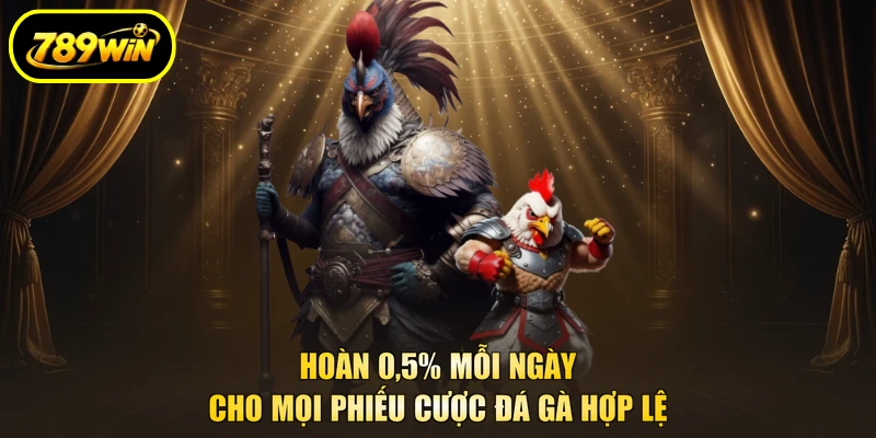 Đá Gà 789WIN, 300 Trận Trực Tiếp Mỗi Ngày Từ 3 Sảnh 4 Hoàn 0,5% mỗi ngày cho mọi phiếu cược đá gà hợp lệ